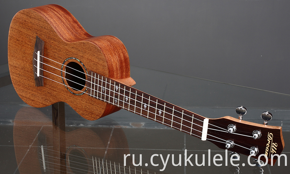 ukulele17